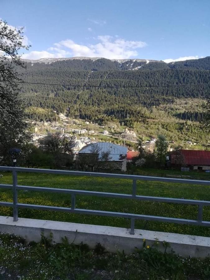 Гостевой дом Valodia Guest House In Mestia Местиа-25