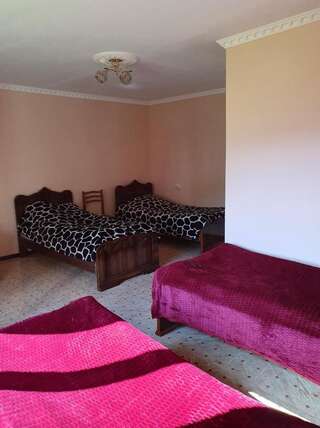 Гостевой дом Valodia Guest House In Mestia Местиа Люкс с видом на горы-1